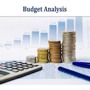 Budget-Analysis